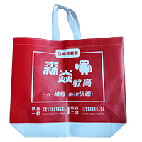 金普LB37培训班广告袋